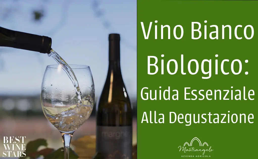 guida-vino-bianco-biologico